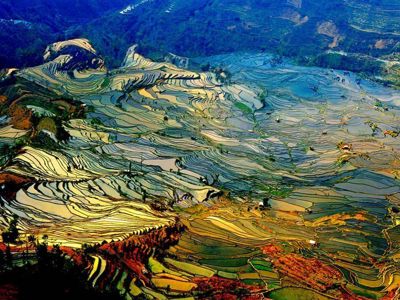 Route China & Vietnam, 20 dagen - Day 7