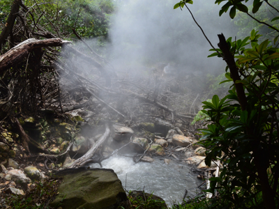 Route Costa Rica Hoogtepunten - Day 9