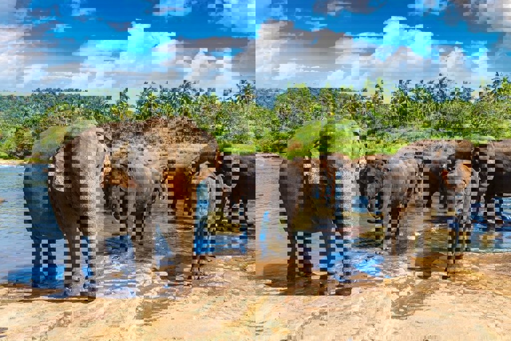 main_shutterstock_2260790781 (1).jpg