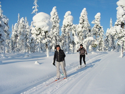 Lapland Winter familiereis - Day 3