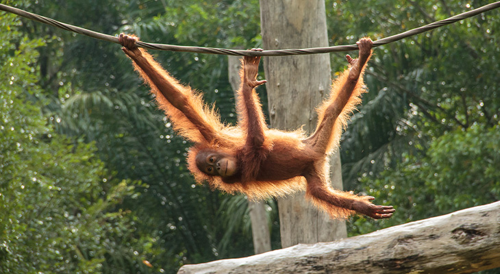 Bezoek verantwoorde opvangcentra 