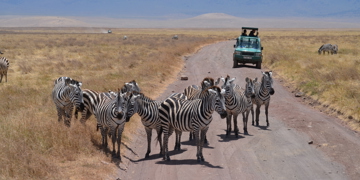 Groepsrondreis Kenia en Tanzania