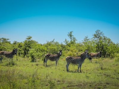 Route Johannesburg - Kaapstad - Dag 4
