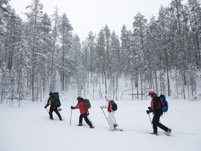 Route Lapland, 8 dagen 2023 (OUD) - Day 4