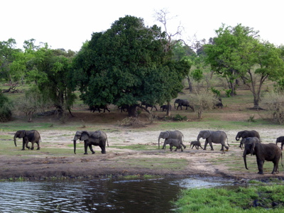 Route Kaapstad - Vic Falls - Day 21