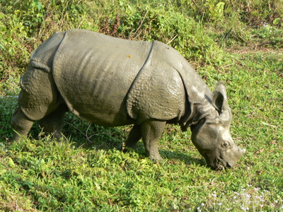 Route Nepal Annapurna, 23 dagen - Dag 19