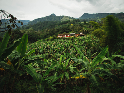 2025 Route Colombia, 21 dagen - Day 12