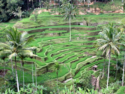 Route Java, Bali, Lombok & Gili Air, 22 dagen 2022 - Day 13