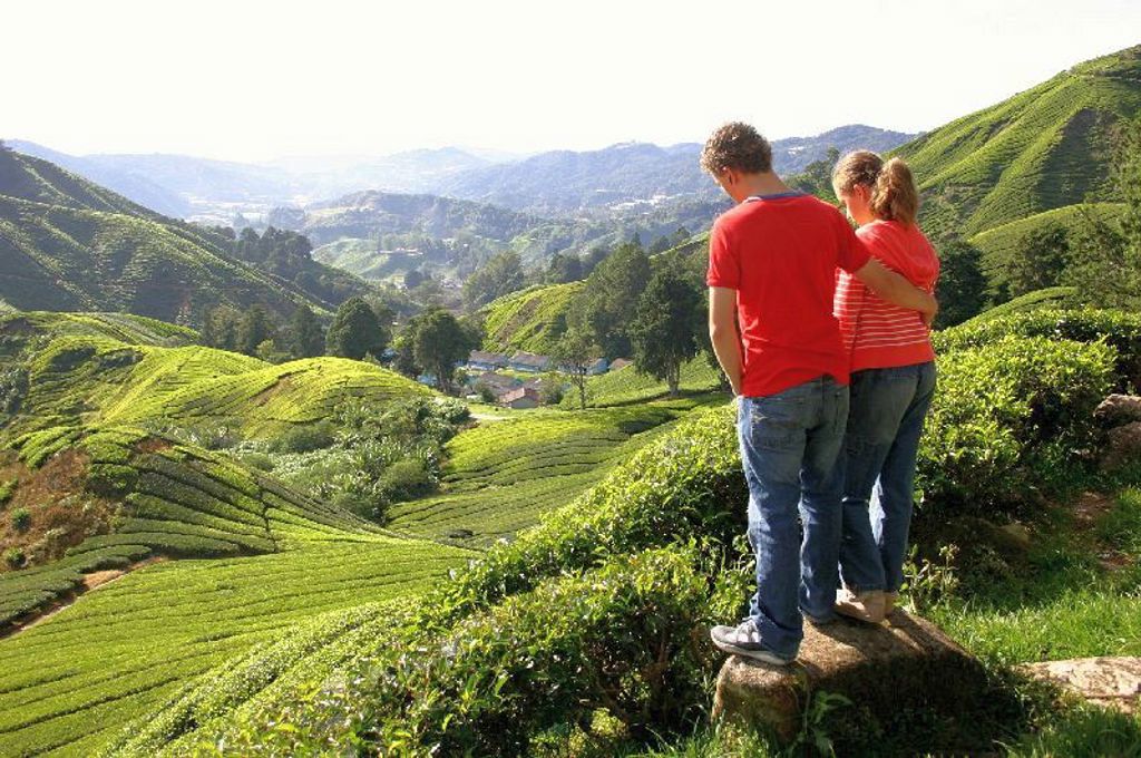 Cameron Highlands Maleisië