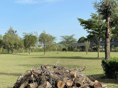 Nderit campsite Nakuru Kenia