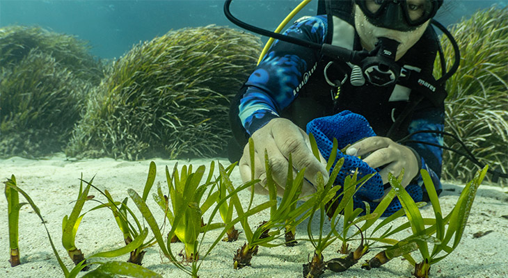 Natuurbescherming Formentera - Manu San Félix Vellmari Natuurbescherming Formentera - Manu San Félix Vellmari