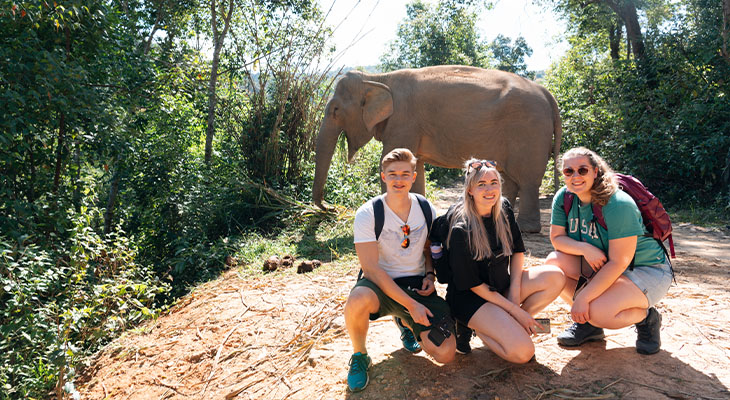 Chang Chill olifantenopvang Chang Chill olifantenopvang