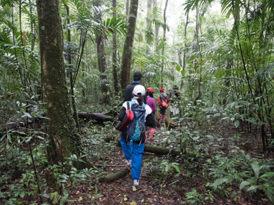 Route Ecuador, 22 dagen inclusief Yarina - Day 4