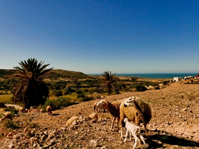 Route Marokko, 14 dagen - Dag 11