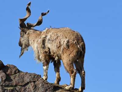 20-daagse rondreis Pakistan - Baltistan & Hunza OUD - Dag 5