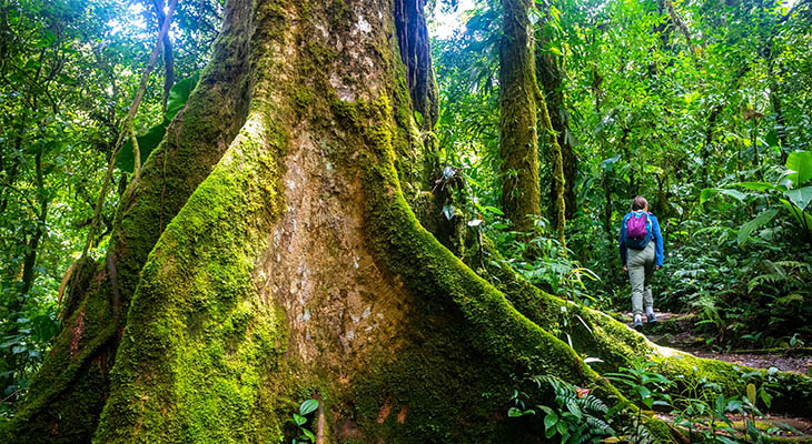 Regenseizoen Costa Rica