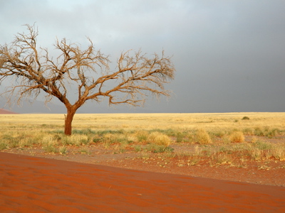 Route Vic Falls-Kaapstad - Day 16