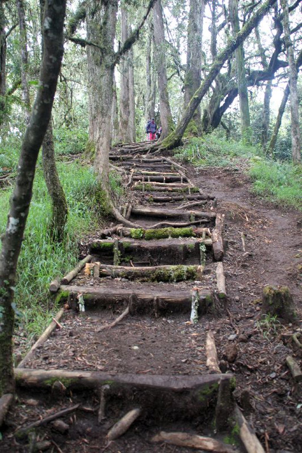Rondreis Tanzania - Kilimanjaro