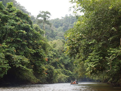 Route Maleisisch Borneo, 24 dagen - Dag 10