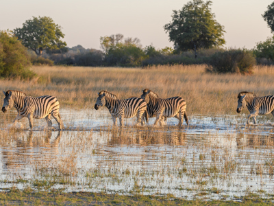 Route Johannesburg - Kaapstad, 17 dagen - Dag 4