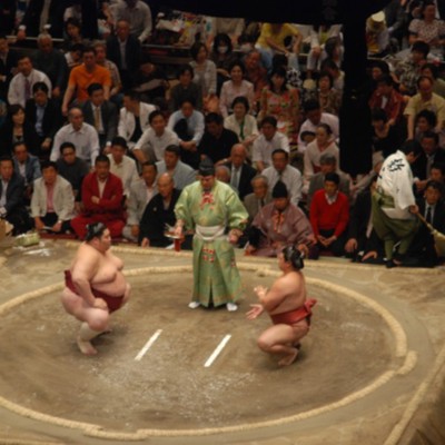 Japan Sumo