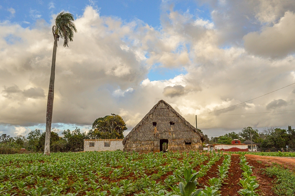 Vinales Cuba