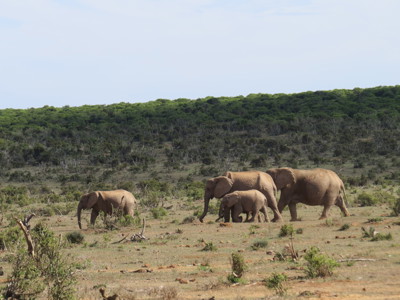 Route Johannesburg - Kaapstad, 17 dagen - Dag 7