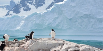 Groepsrondreis Antarctica, Falklands en South Georgia