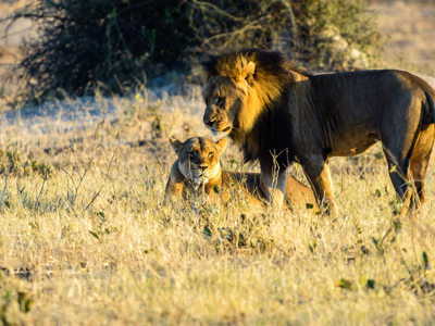 Route Kaapstad-Vic Falls - Dag 20