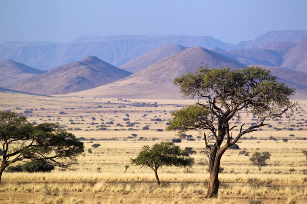 Damaraland