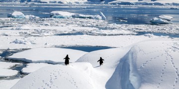 Groepsrondreis Antarctica - Vliegen