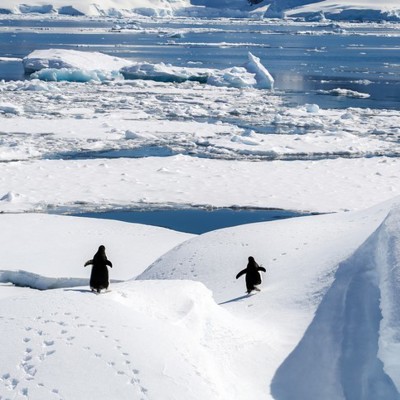Groepsrondreis Antarctica - Vliegen