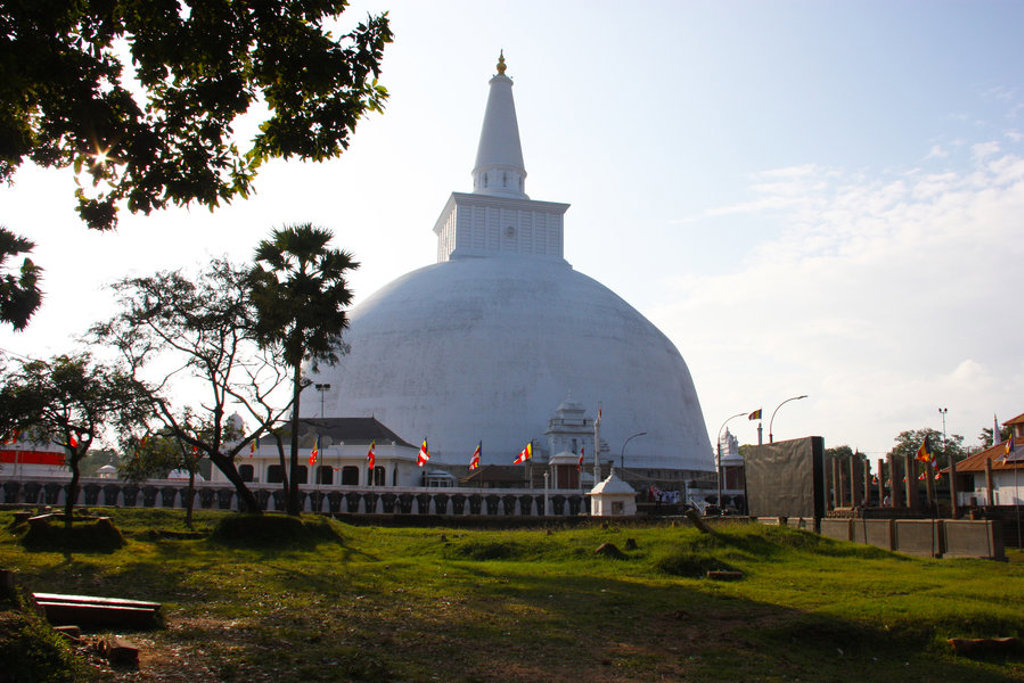 main_Jesse_van_der_Vaart_-_SLH701_-_Sri_Lanka__47_.jfif