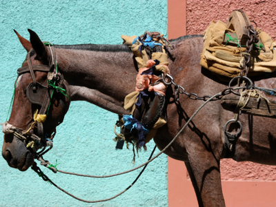 Route Nicaragua, 23 dagen - Dag 2