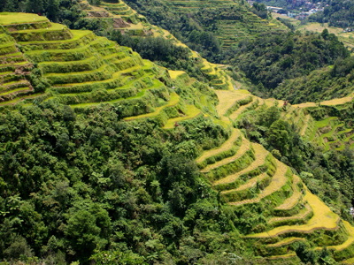 Route Filipijnen, 24 dagen - Day 5