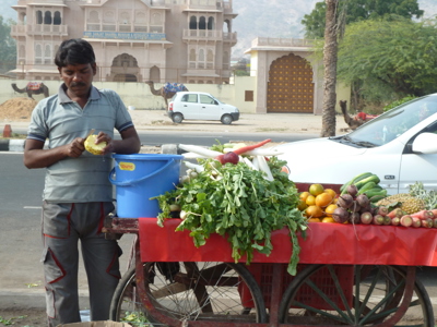 Route Rajasthan, 20 dagen - Dag 16