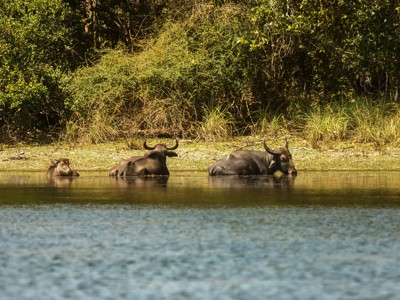 Route Sri Lanka reis, 20 dagen - Dag 17