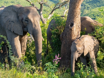 Route Zuid-Afrika, 20 dagen - Dag 9