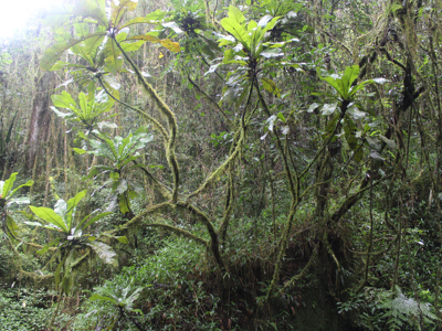 Route Madagascar, 19 dagen - Dag 9