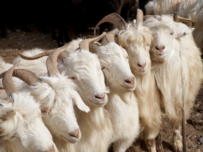 Route Zijderoute - Dag 21