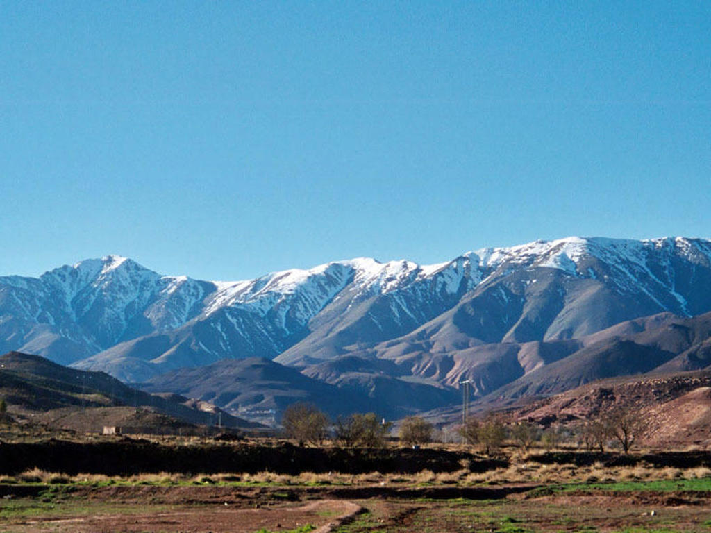 main_16_-_Anti_Atlas.jfif