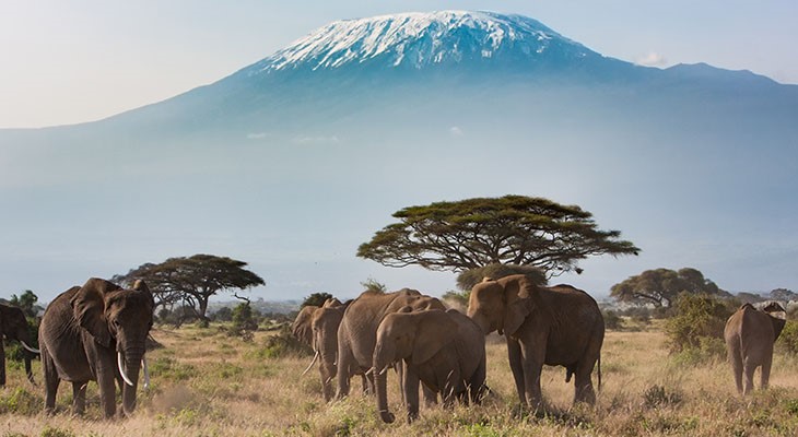 amboseli-nationaal-park amboseli-nationaal-park