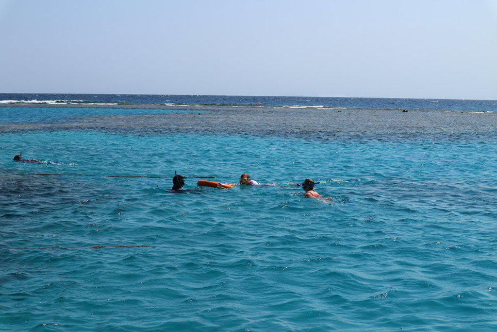 main_IMG_2814 (1).jfif