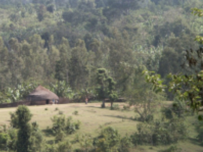 Standaard route Ethiopië, 29 dagen - Day 25