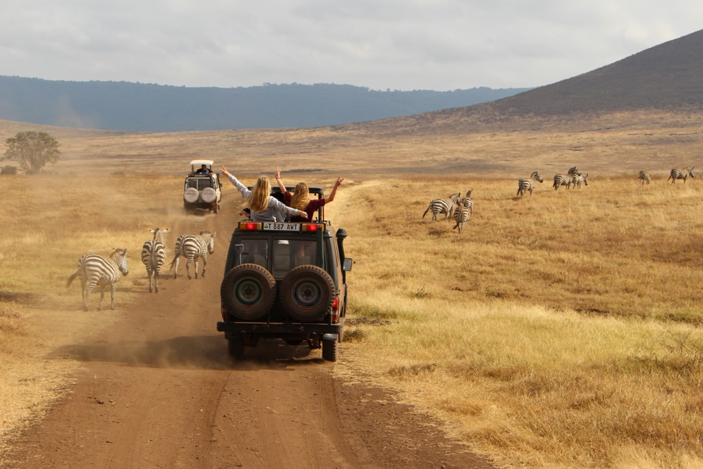Familiereis Tanzania Ngorongoro Krater