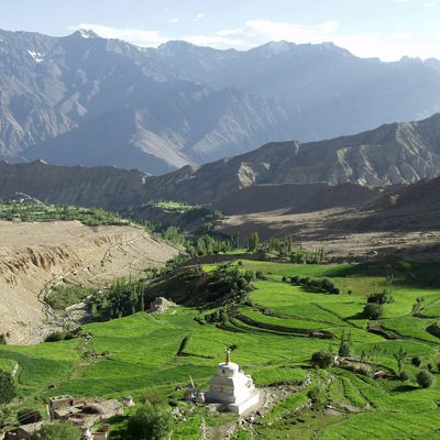 Groene terrassen en boeddhistische stupa in de vallei van Ladakh, met ruige Himalaya-bergen op de achtergrond.