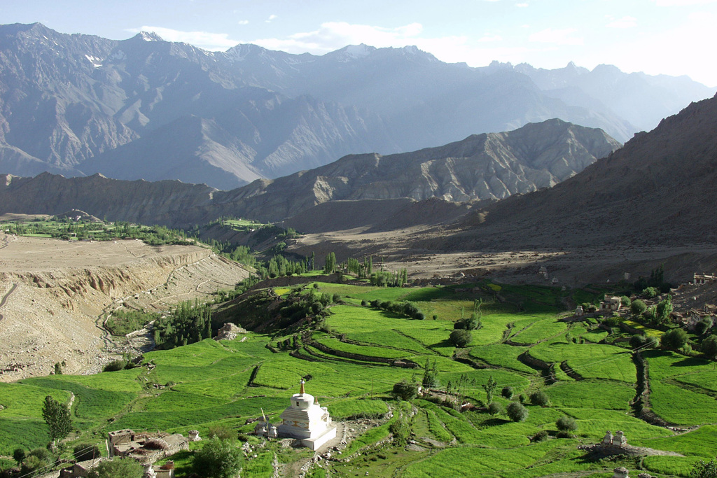 Groene terrassen en boeddhistische stupa in de vallei van Ladakh, met ruige Himalaya-bergen op de achtergrond.