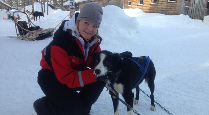 Huskysledetocht in Lapland Huskysledetocht in Lapland