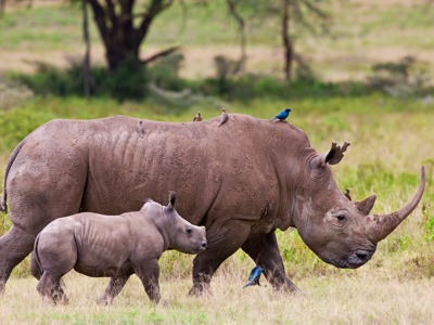 Route Kenia, Tanzania en Zanzibar, 21 dagen - Day 6