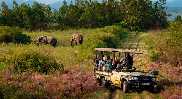 Groepsreis Zuid-Afrika Groepsreis Zuid-Afrika